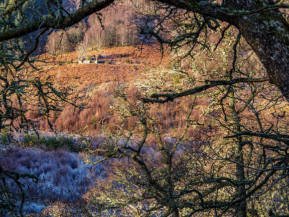 Glen Coiltie View 1