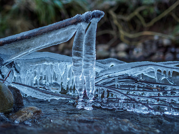 Ice Sculptures