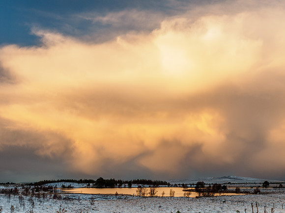 Wild Sky