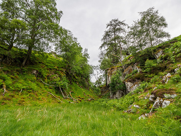 Black Hollow, Dubh-glac [1806063]
