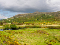 Colourful Glen Cannich [1806011]
