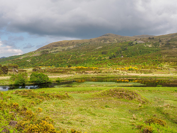Colourful Glen Cannich [1806011]