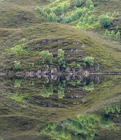 Loch Beannacharan Reflection (2) [1806067]