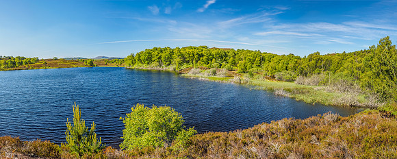 Loch Nam Bàt on a Bright Summer's Day [1806079]