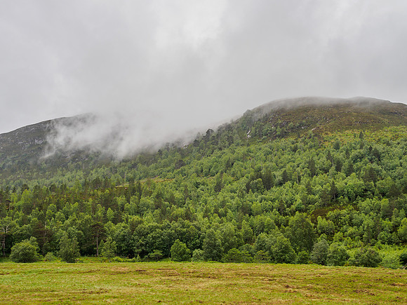 Misty and Wet Glen Cannich [1806061]