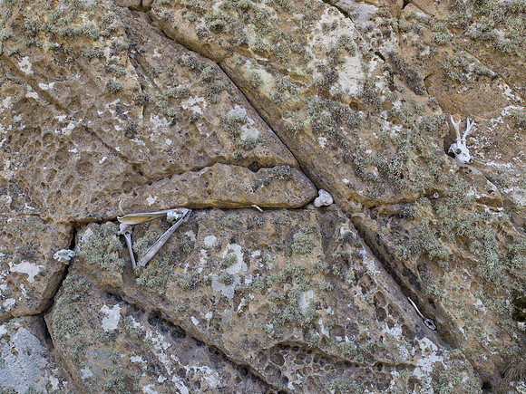 20130707-Portmahomack-R7076758