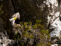 20130703-Glen Strathfarrar-R7036540