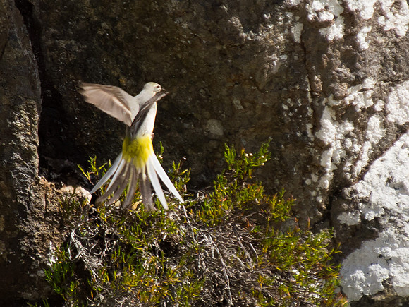 20130703-Glen Strathfarrar-R7036543