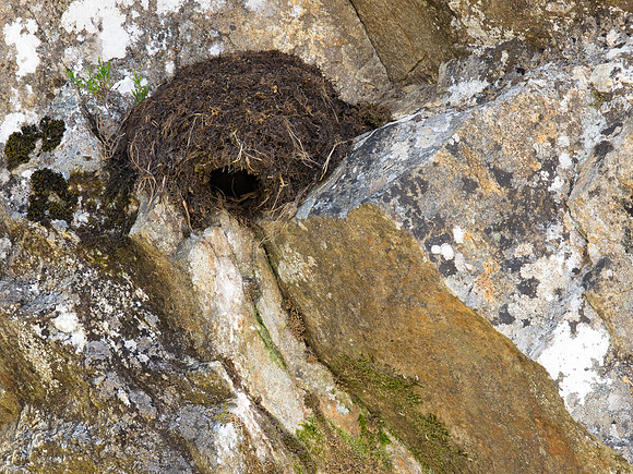 20130703-Glen Strathfarrar-R7036463