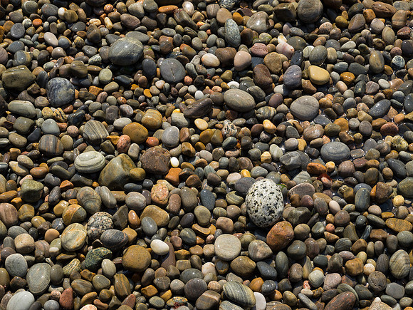 20130707-Portmahomack-R7076744