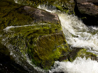 20130703-Glen Strathfarrar-R7036460