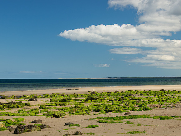 20130731-Nairn-R7317404