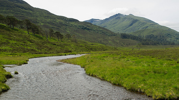 20130713-Glen Strathfarrar-R7136915
