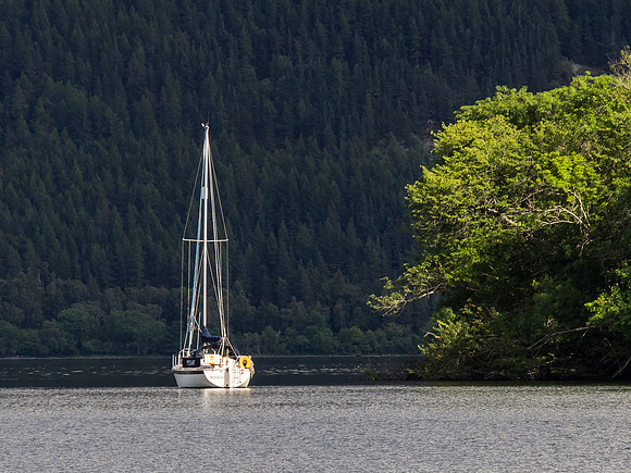 20140727-Urquhart Bay Wood-V7270016