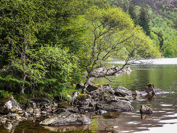 Loch Ossian View 3