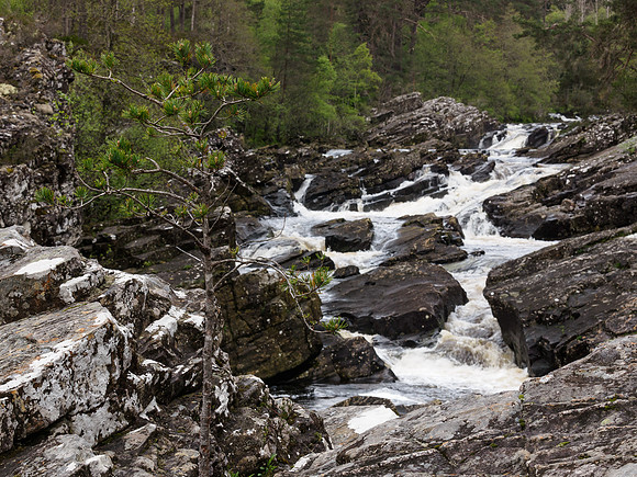 River Moriston 1