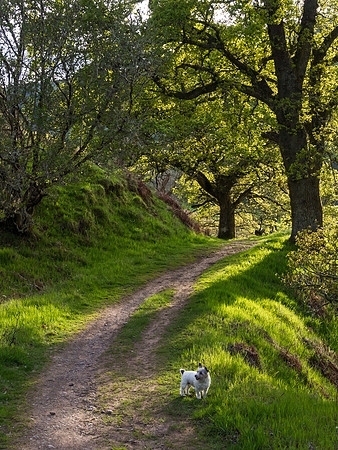 20140514-Clunebeg-V5140049