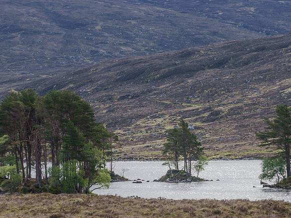 Loch Ossian Island 1