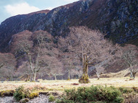 Strathconon Day Trip