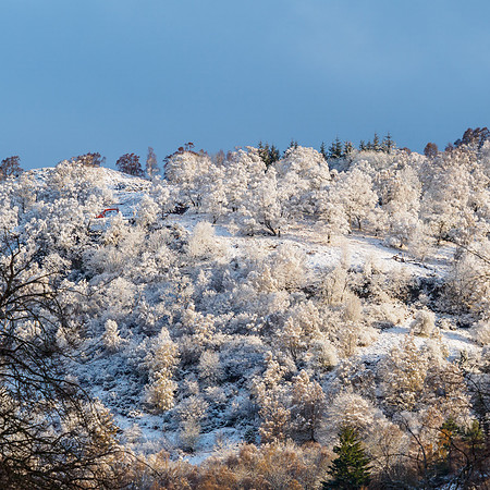 Achmony Snow