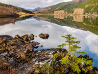 Loch Meig Reflections