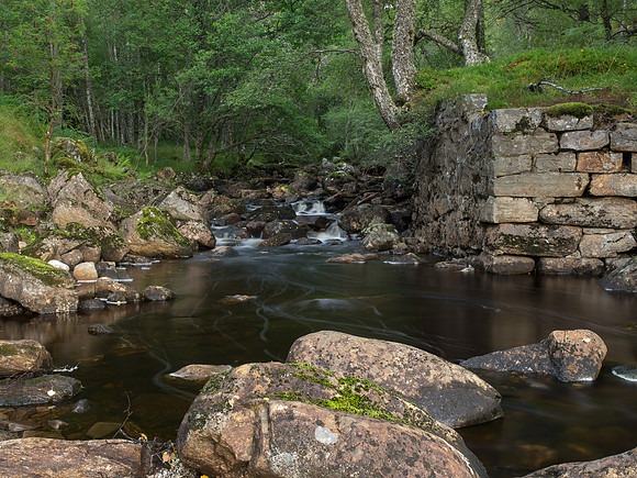 20130914-Glen Affric-R9147744