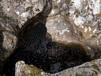 20130908-Glen Strathfarrar-R9087687