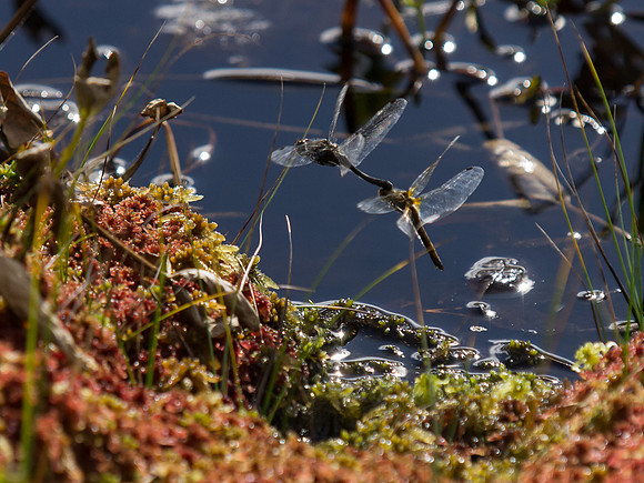 20130922-Glen Cannich-R9227928