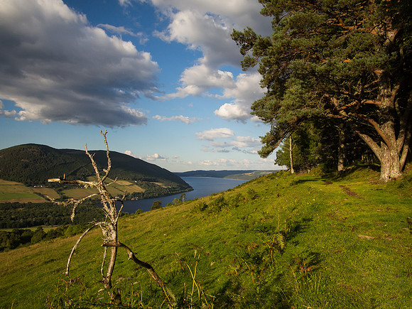 Loch Ness View