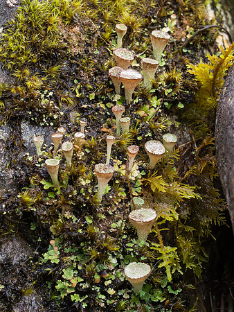 20130922-Glen Cannich-R9227894