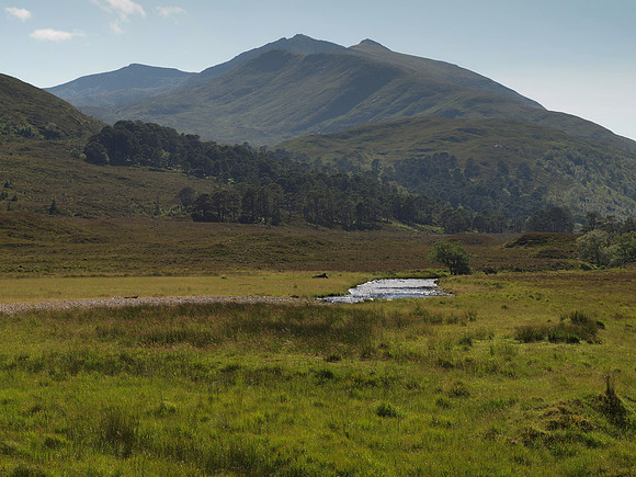 20110724-Glen Strathfarrar-Q7242341