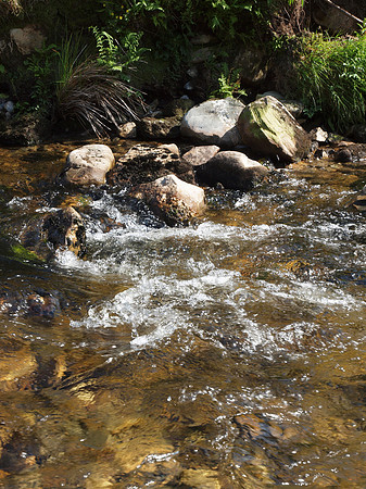 20110713-Port Luinge-Q7132211