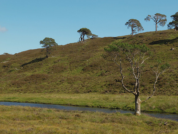 20110724-Glen Strathfarrar-Q7242340