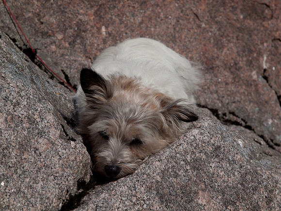 20110730-Ardclach-Q7302570