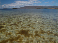 20110713-Port Luinge-Q7132122