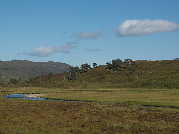 20110724-Glen Strathfarrar-Q7242344