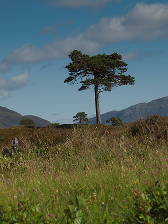 20110724-Glen Strathfarrar-Q7242322