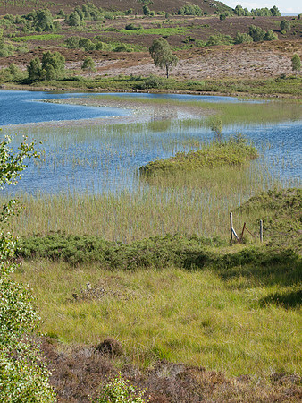 20110727-Loch Nam Bat-Q7272395