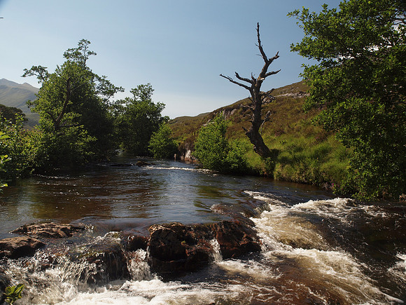 20110724-Glen Strathfarrar-Q7242327