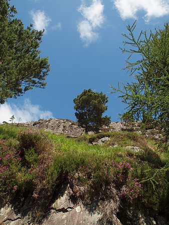 20110724-Glen Strathfarrar-Q7242296