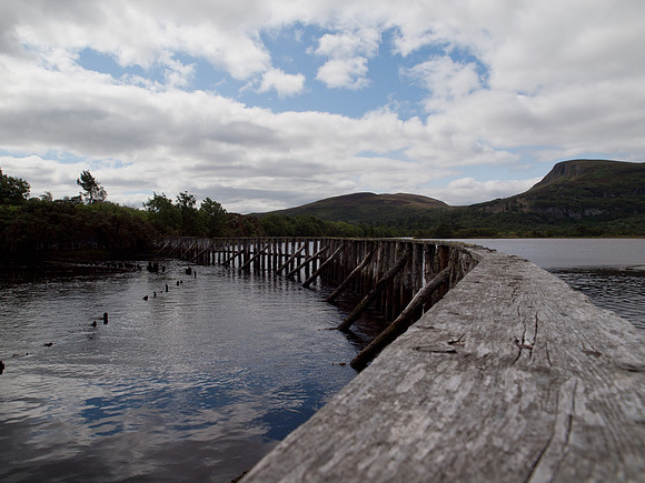 20110723-Dornoch-Q7232249