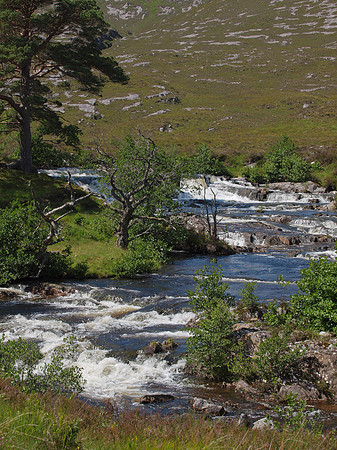 20110724-Glen Strathfarrar-Q7242317