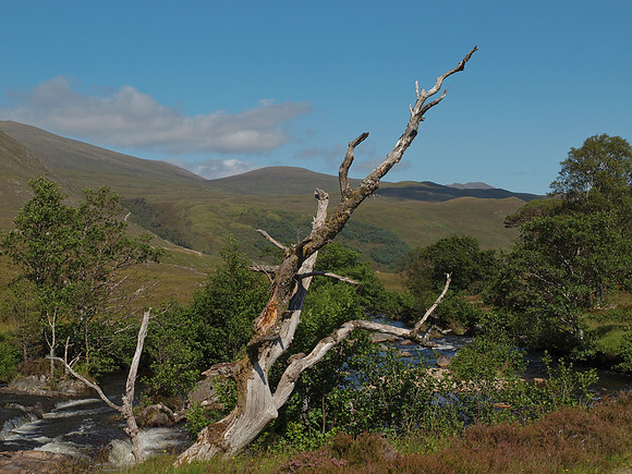 20110724-Glen Strathfarrar-Q7242332
