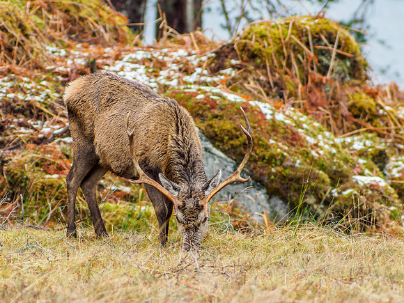 20160220-Mullardoch-EM520057