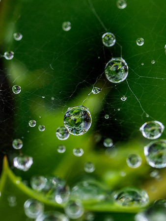 Wet Web 2