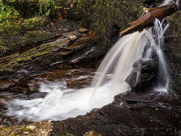 Guisachan Falls 3