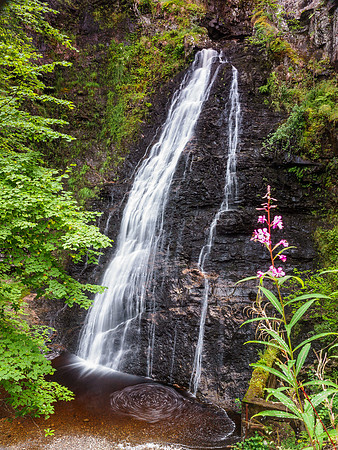 Guisachan Falls 1
