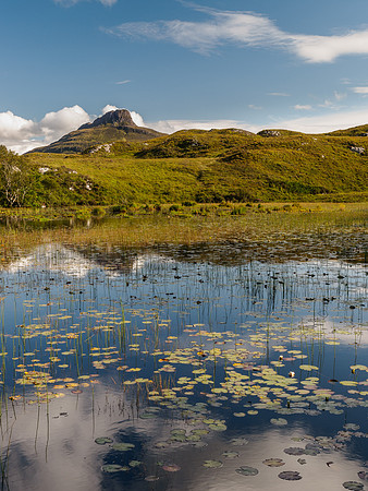 Stac Pollaidh and Lilies 2