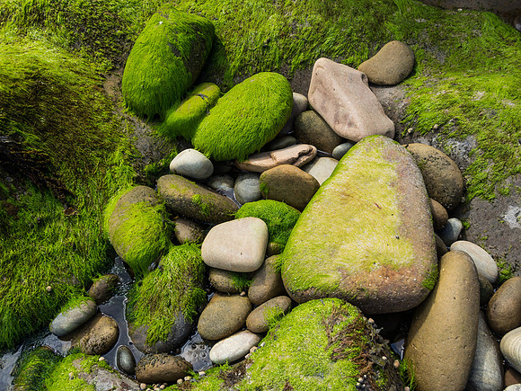 Clashach Bay 4