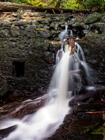 Guisachan Falls 2